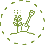 manutencao-paisagismo